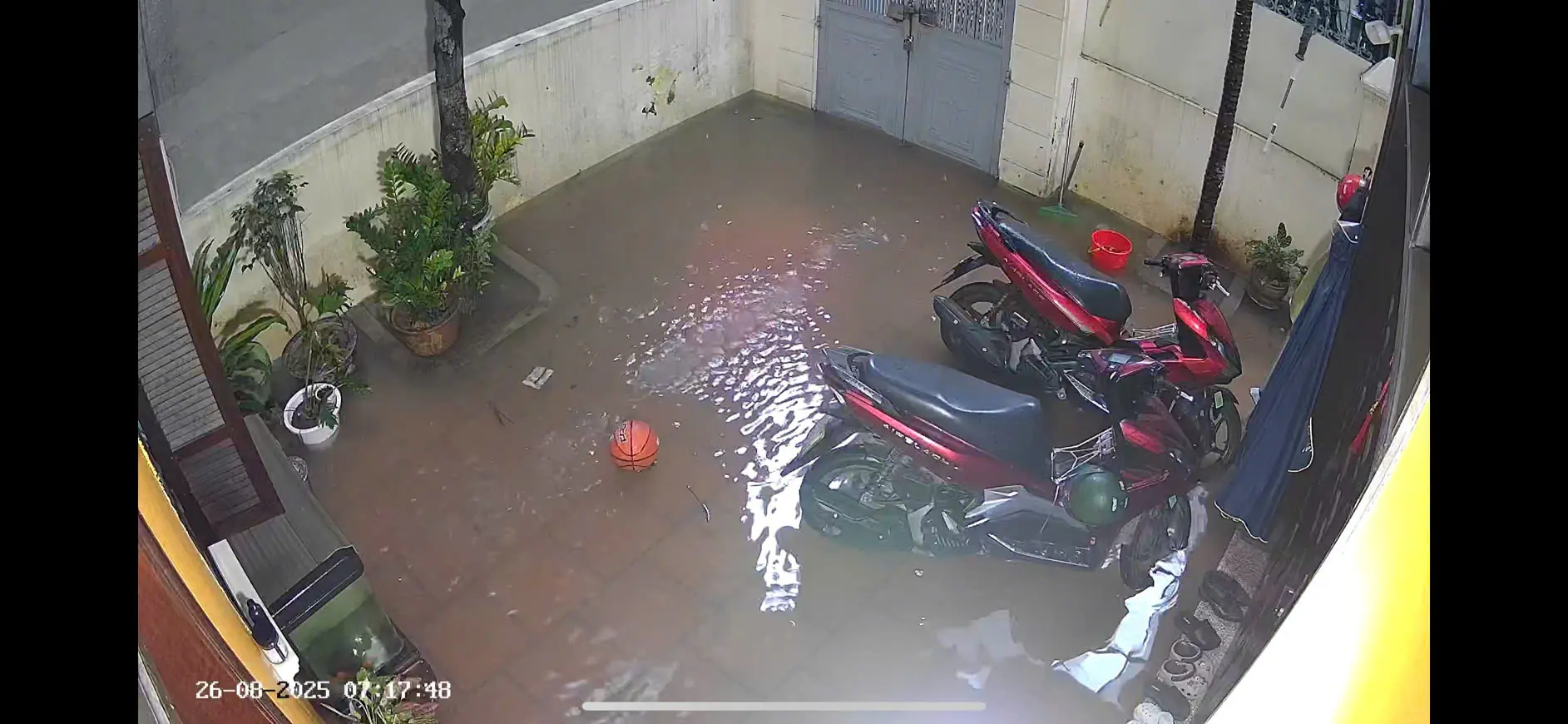 Đài PTTH Hà Nội